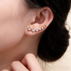 (PRE-ORDINE) Orecchini a Climber in Argento con Zirconi